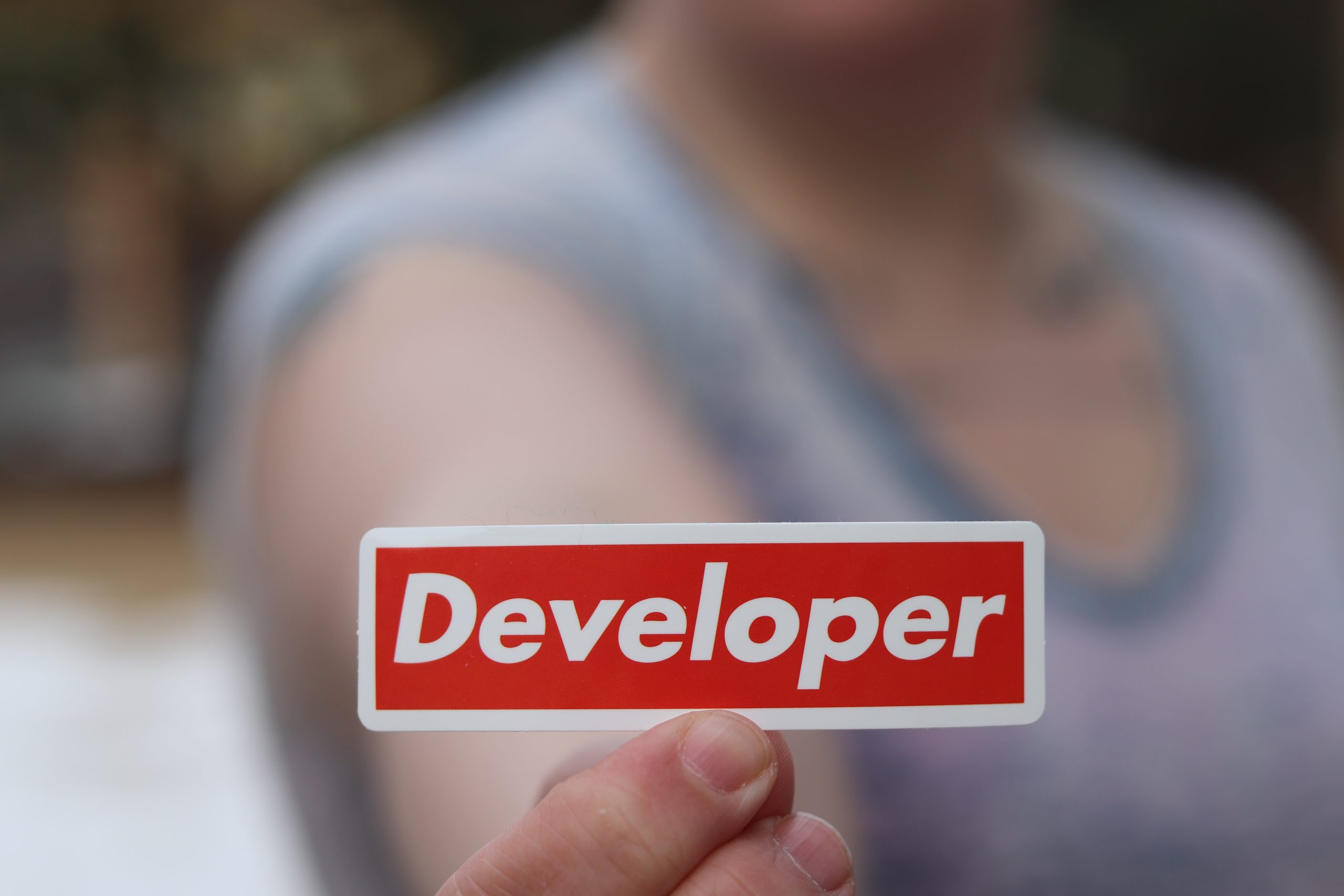 Developer